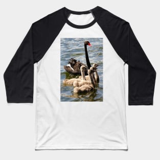 Black Swan and Cygnets Baseball T-Shirt